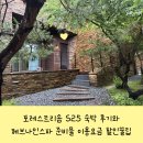누리스파 | 포레스트리솜 S25 숙박 후기와 헤브나인스파 준비물 이용요금 할인꿀팁