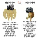 리코 GR3 수리 SR기능 고장 다이얼교체 수리비용 택배이용 후기