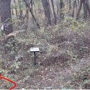 수성생활체육공원 이미지