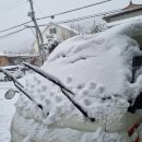 아이이글루(주) 이미지