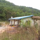 한반도면-8 이미지