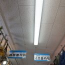 포브(FORVE) 네이버블로그