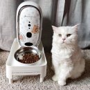 코코프렌즈 | 고양이 자동급식기 펫캠 라인프렌즈 코코시루 &amp; 받침대 후기