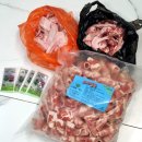 숲속연어어린이집 이미지