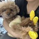 춘식이뒷고기 | 늦은 25 연말 마무리