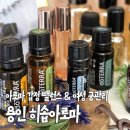 원영향길 | 용인 아로마 원데이클래스 후기 히솝아로마 감정밸런스 여성 궁관리 체험