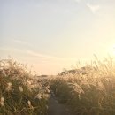 귀래생태공원 이미지