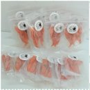 정성스럽개 이미지