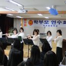숙지초등학교 Daum카페
