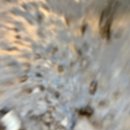 한라전설(주) | [제주]4월 제주여행 3,4일차 (베이커블카페, 도갈비, 전농로벚꽃, 산방산 유채꽃, 마노르블랑, 플로웨이브)
