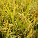 봉산농장 2농장 이미지