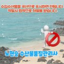 생선찜전문가야 이미지