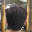 트라움헤어 이미지