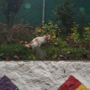 드럼통92 이미지