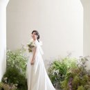 전보미 카카오 검색결과