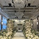 논현로2-4 | 서울 신상 웨딩홀 루클라비더화이트 26년 계약 후기