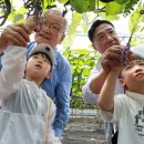 크라운농장 이미지