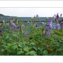 전망좋은모텔 이미지