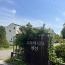 나무펜션 | [인천 강화]강화도 내돈내산 펜션 후기&lt;나무와나무펜션&gt;