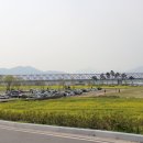 낙동강레일파크 주차장 이미지