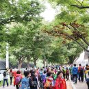 외씨버선길(영양연결구간) 이미지