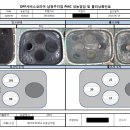 유로메가 이미지