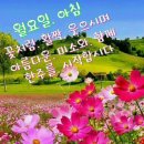 짱구김밥 - 계양구 경명대로1045번길 4 | 짱구김밥