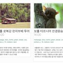 다일투어 이미지