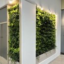 완산구청 이미지