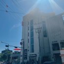 Molang-e | [홍대/연남] 몰랑이 팝업스토어 갤러리몰랑 다녀온 후기 (feat.몰랑이 작가님)