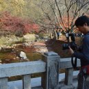 죽림원 이미지