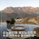 소노펠리체 델피노 | 속초 가족숙소 소노펠리체 델피노 소노캄 리조트 숙박 후기