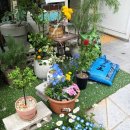 도청농장 | 광교식물 맛집 발견🌿수원 광교 [바비슈아 플라워샵] 방문 후기