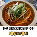 옥돌돼지갈비 | 천안돼지갈비찜 맛집 매워도돼지 방문 후기 / 중독성 있는 매운맛 추천