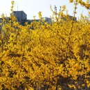 달맞이근린공원 이미지