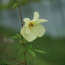 세종1차아파트 이미지