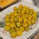 용식당 | 개인일정 용식당 후기