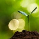 옥계중학교 이미지