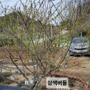 하저농장 티스토리
