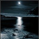 [크로스오버] Moonlight Shadow - Annie Haslam 이미지