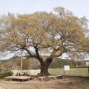 두북분교 이미지