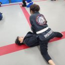 화랑 합기도 & 주짓수 이미지