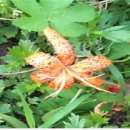 비자사랑행정사사무소 이미지