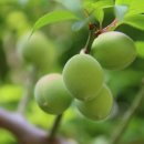 아임파인 이미지