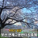 온천천시민공원 기념 | 부산 연제고분판타지축제 온천천 실시간 방문 후기