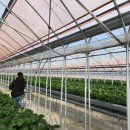 (주)조아조아테크 이미지