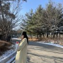 안나원 | [겨울코트추천] 에토스 싱글코트 후기