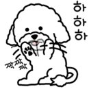 미산애견 이미지