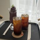 [전남 장성] 블루베리 음료 맛집 &lt;따리네시아&gt; ㅣ 캠핑감성 오두막🏕️, 잔디정원이 있는 곳 ㅣ장성 대형...