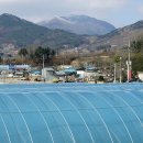 배티경로당 이미지